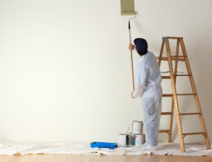 Painting Contractors Edina MN
