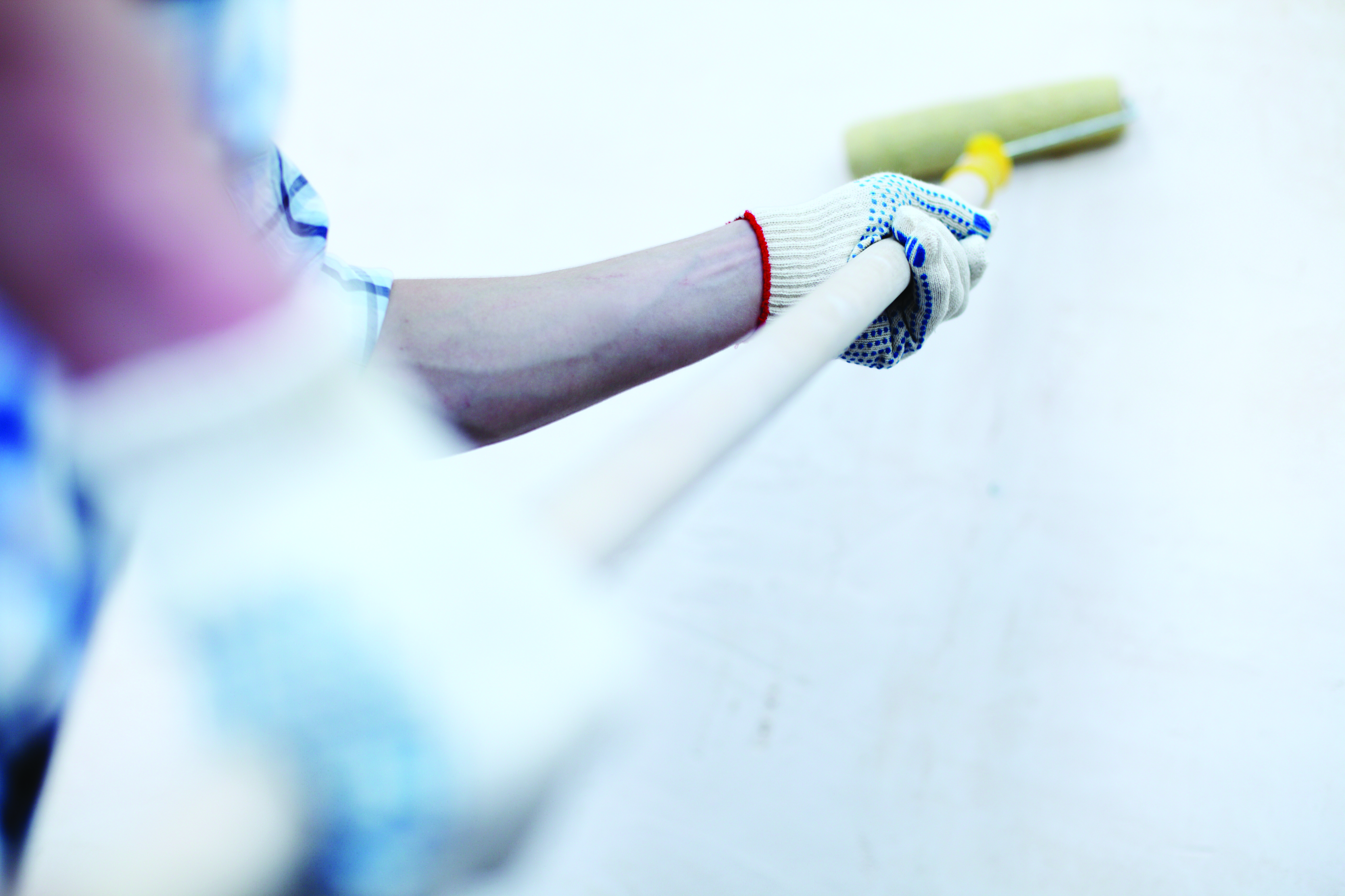 Painter Minneapolis Painting Company North Oaks MN