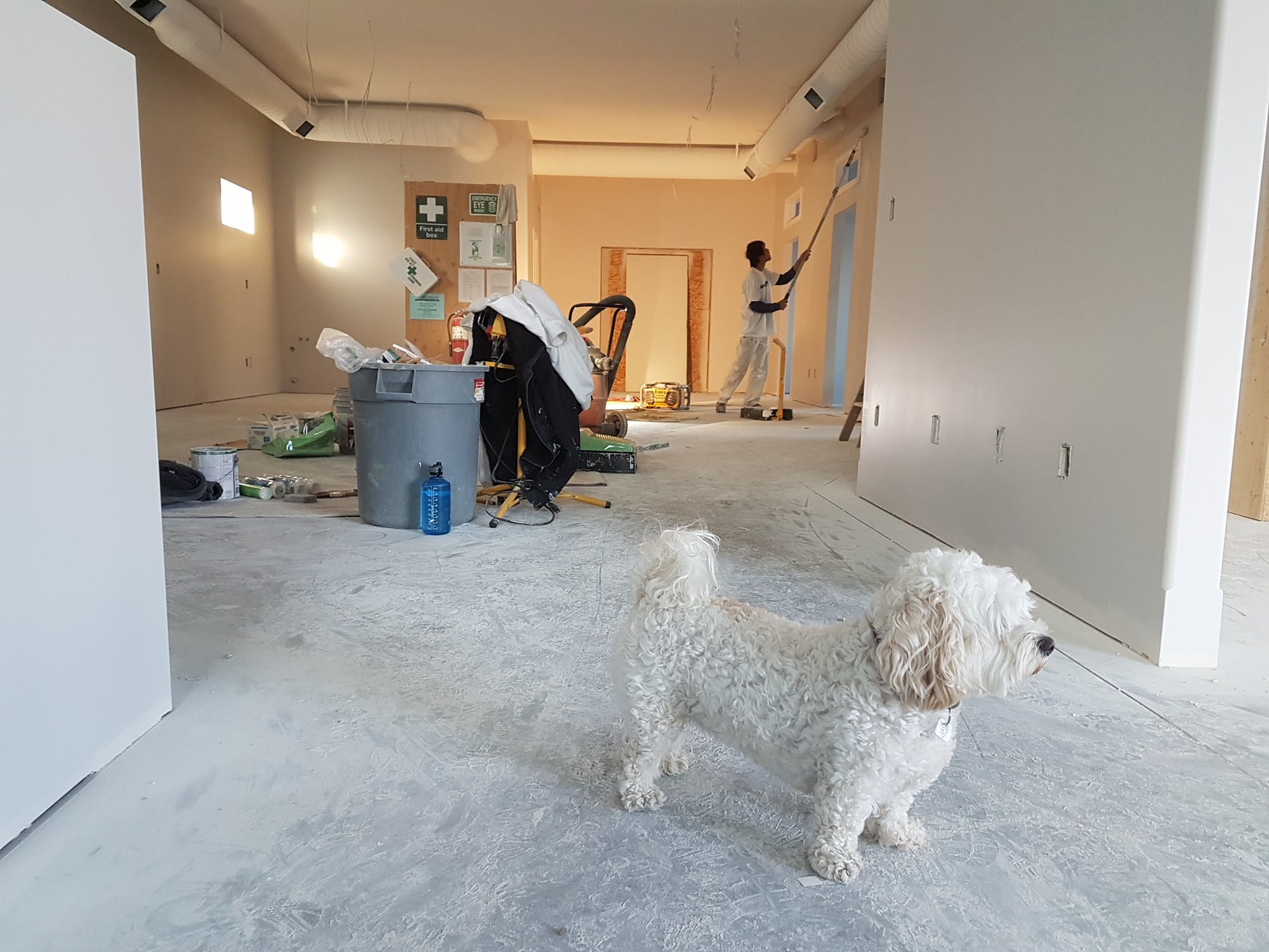 Painters In Wayzata Minnesota
