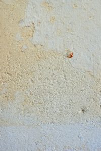 Sheetrock Contractors Woodbury MN
