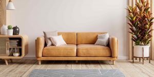 House Painters in Inver Grove Heights MN