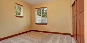 Interior House Painter in the Twin Cities MN