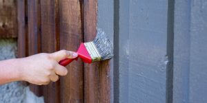 Home Exterior Painting in the Twin Cities MN