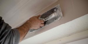 Ceiling Plaster in Savage MN